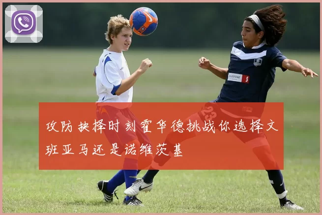 攻防抉择时刻霍华德挑战你选择文班亚马还是诺维茨基